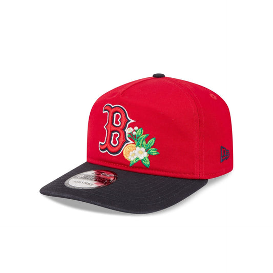 Boston Red Sox MLB 19Twenty Spring Training New Era Red/Navy Official Team Hat Sports Fan Cap