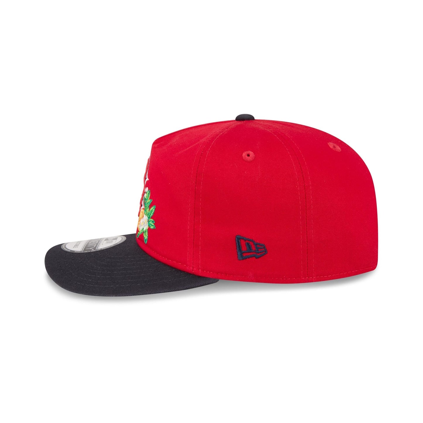 Boston Red Sox MLB 19Twenty Spring Training New Era Red/Navy Official Team Hat Sports Fan Cap