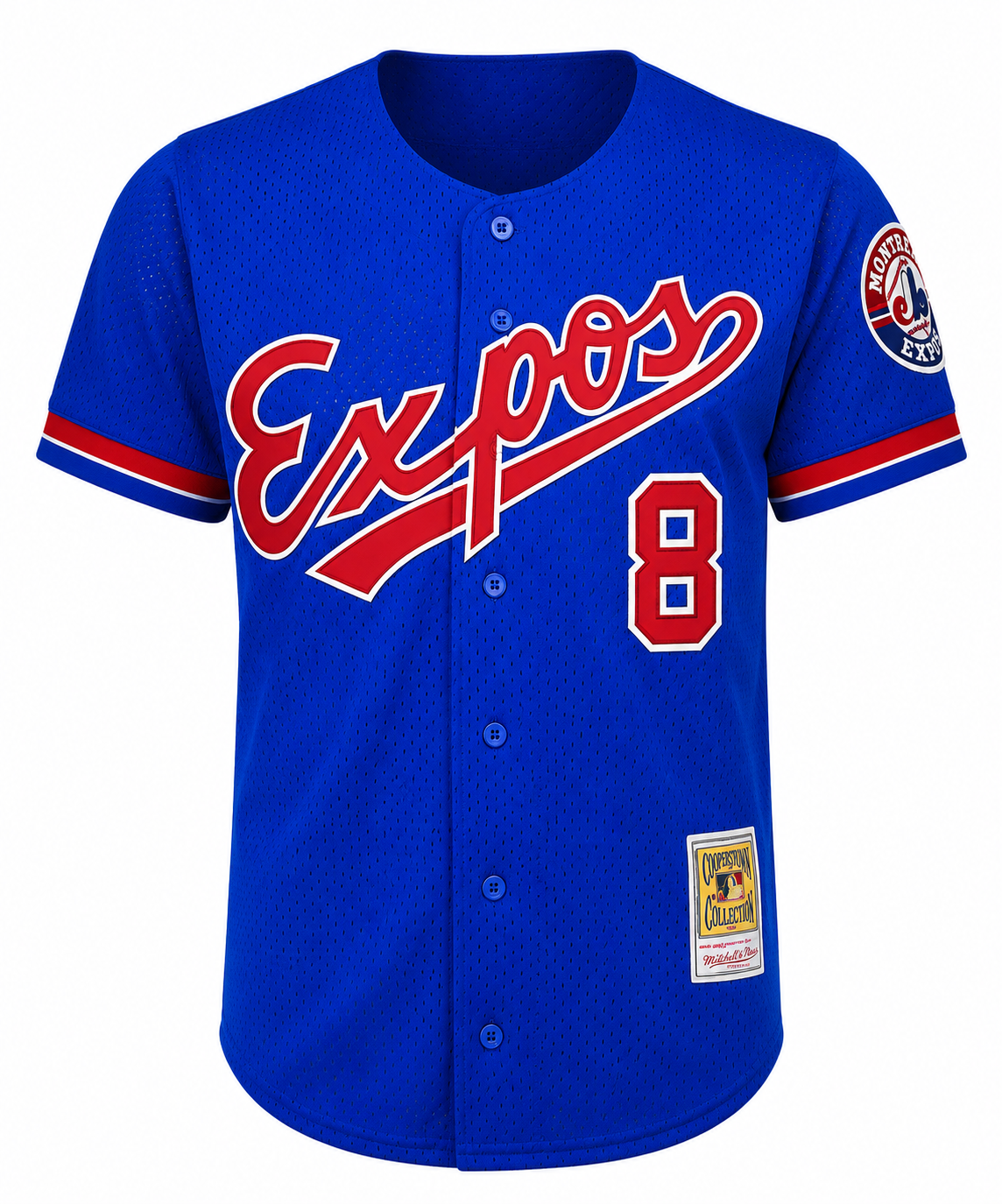Men's Montreal Expos Gary Carter Mitchell & Ness Royal 1992 Authentic Cooperstown Collection Mesh Batting Practice Jersey Official Team Jersey Sports Fan Apparel