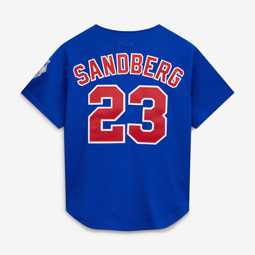 Mitchell & Ness Ryne Sandberg Chicago Cubs 1997 Authentic BP Button Down Jersey Official Team Jersey Sports Fan Apparel