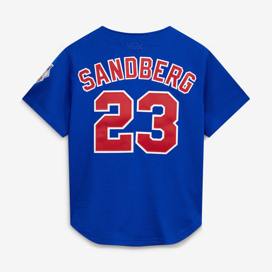 Mitchell & Ness Ryne Sandberg Chicago Cubs 1997 Authentic BP Button Down Jersey Official Team Jersey Sports Fan Apparel
