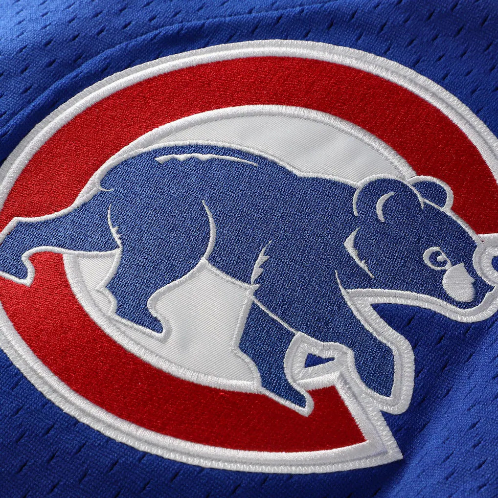 Mitchell & Ness Ryne Sandberg Chicago Cubs 1997 Authentic BP Button Down Jersey Official Team Jersey Sports Fan Apparel