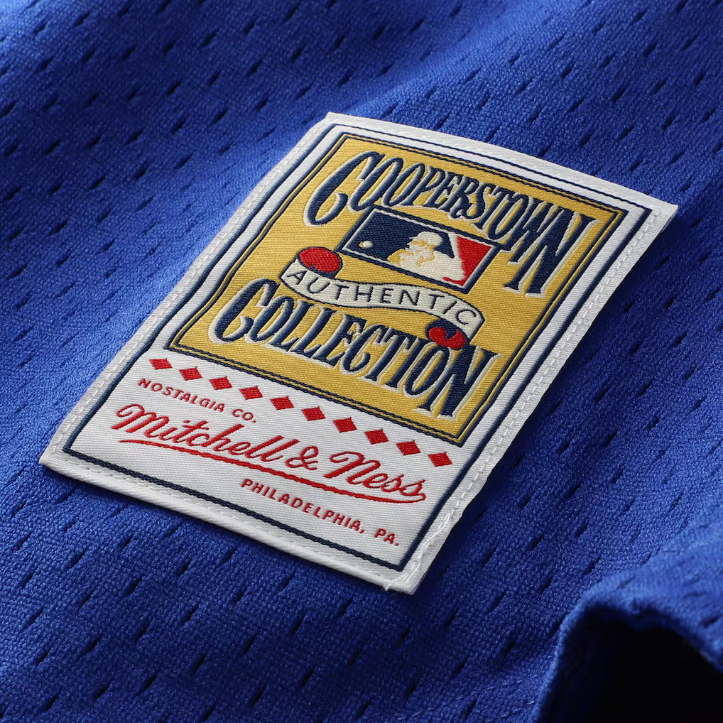 Mitchell & Ness Ryne Sandberg Chicago Cubs 1997 Authentic BP Button Down Jersey Official Team Jersey Sports Fan Apparel