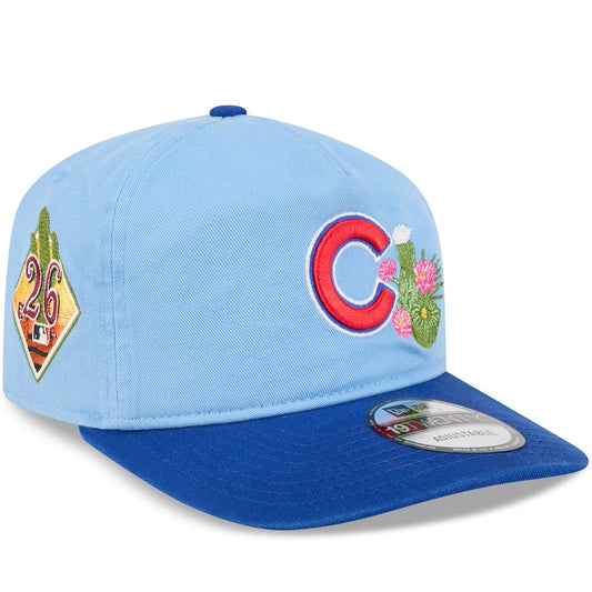 Chicago Cubs MLB 19Twenty Spring Training New Era Blue Official Team Hat Sports Fan Cap