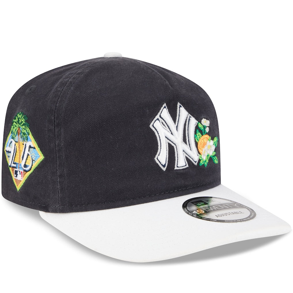 New York Yankees MLB 19Twenty Spring Training New Era Navy/White Official Team Hat Sports Fan Cap